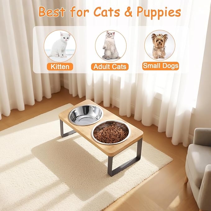 Cat Bowl Elevated Cat Food Bowl