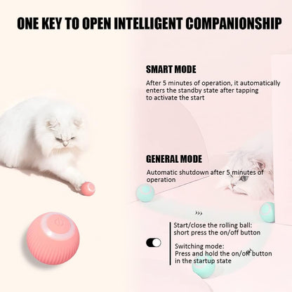 Interactive Cat Self-Rolling Ball with LED Light