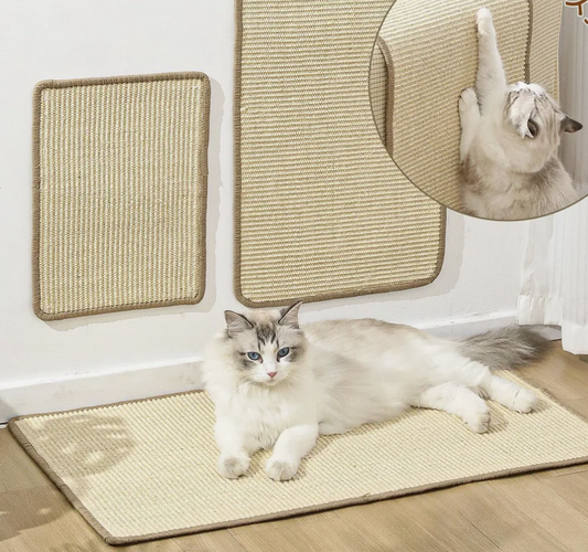 Cat Scratch Interactive Toy