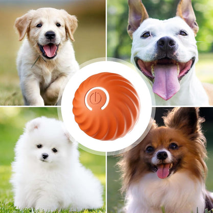 Interactive Rolling Ball for Dogs