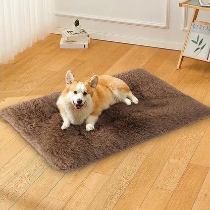Double Sided Warm Blanket Plush