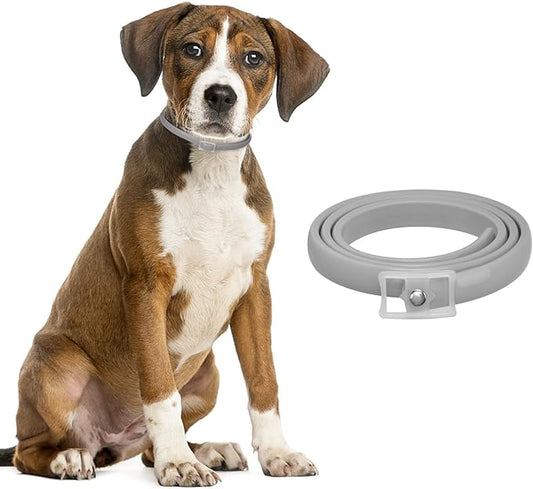 Adjustable Flea and Tick Collar for Dogs & Cats