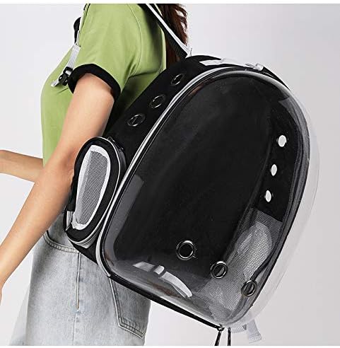 Transparent Cat Carrier bubble backpack